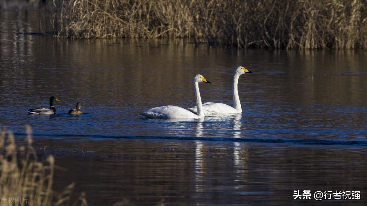 北京密云一日游自由行,北京到密云旅游攻略