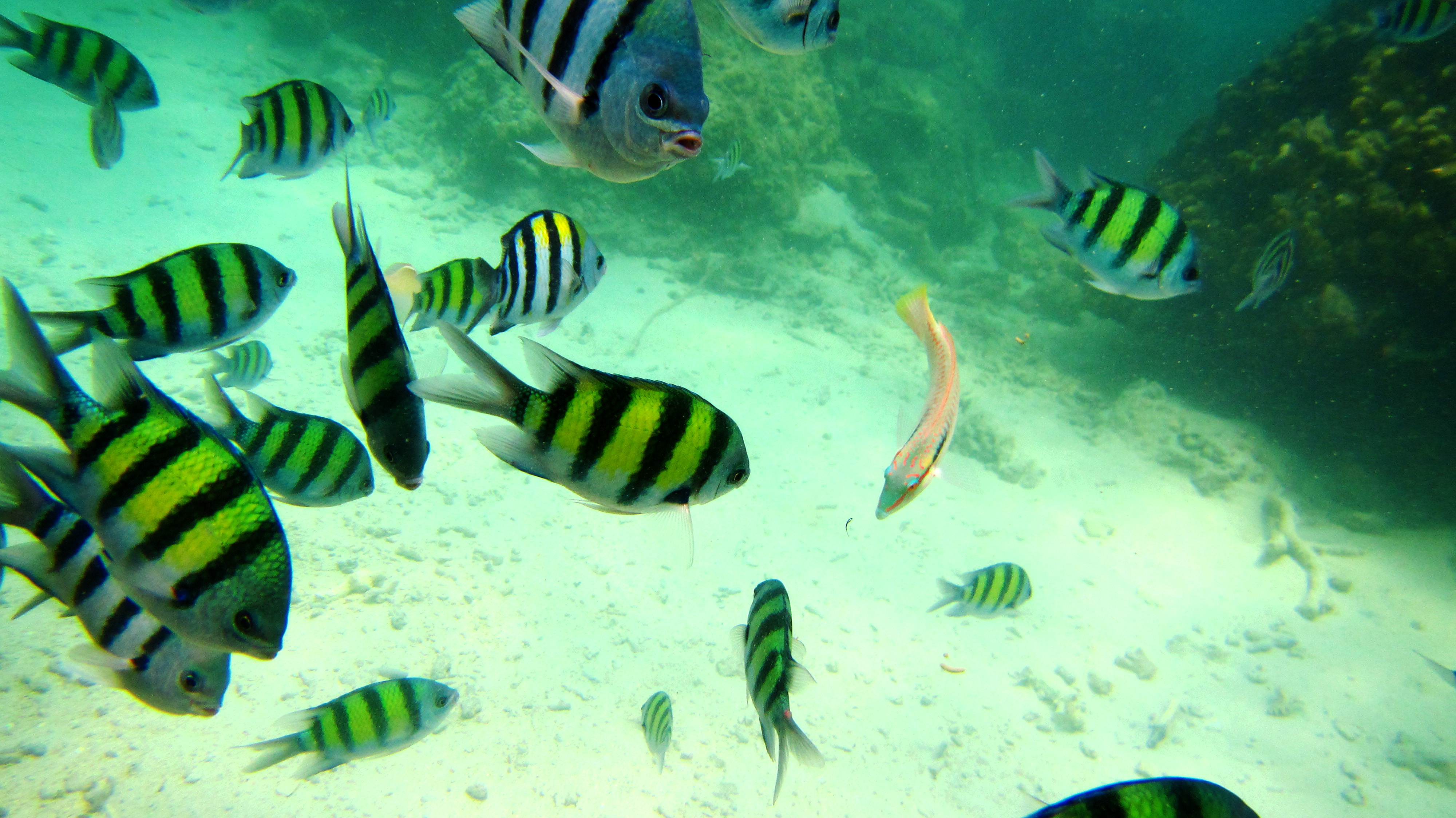 泰国三亚旅游对比,三亚和泰国旅游选择哪里