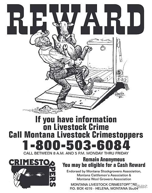 放牛的探员？《黄石》中的执法力量丨武装