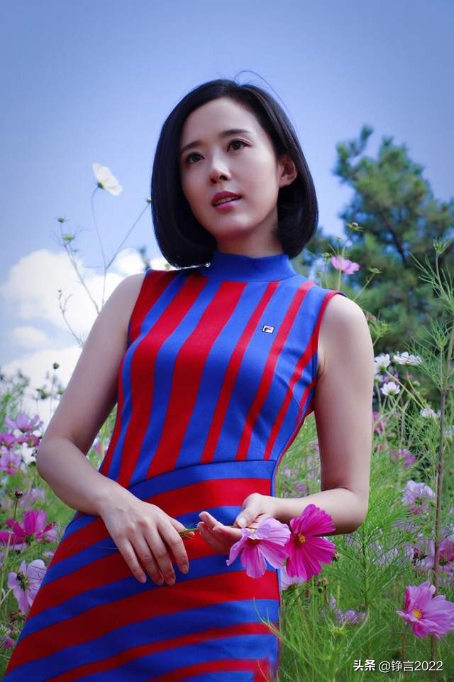 锵锵三人行主要嘉宾排序,锵锵三人行印象最深的嘉宾