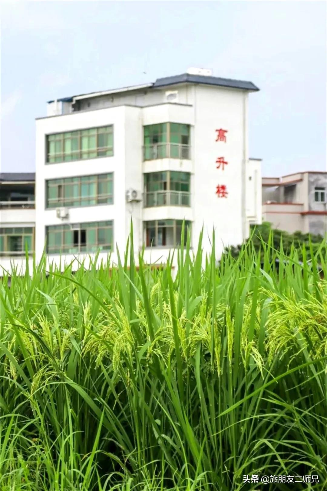 南平静修小镇凤溪玩水,南平静修小镇凤溪玩水区订票