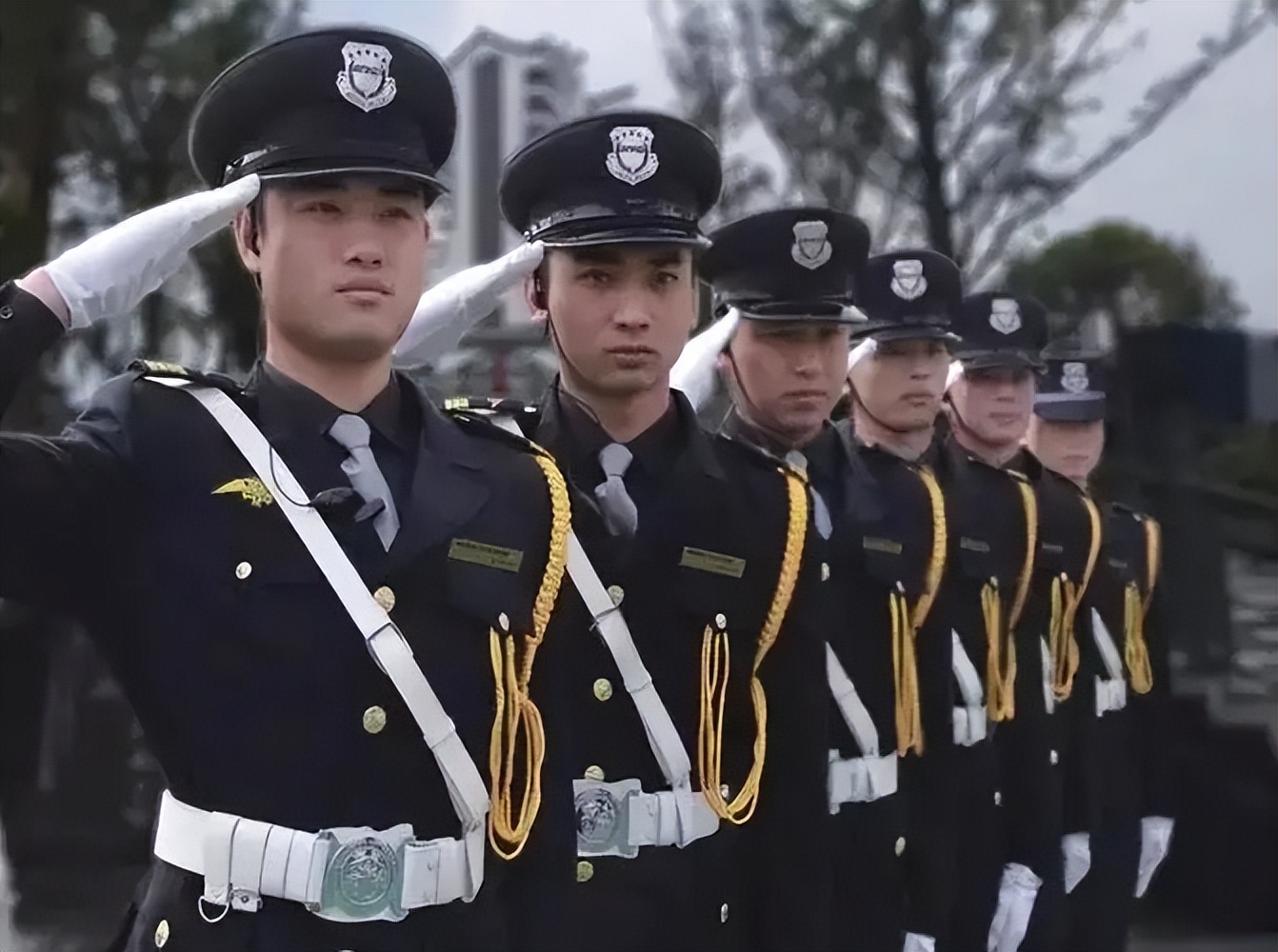 森林中空气负离子浓度有什么作用,原始森林空气中负氧离子指数