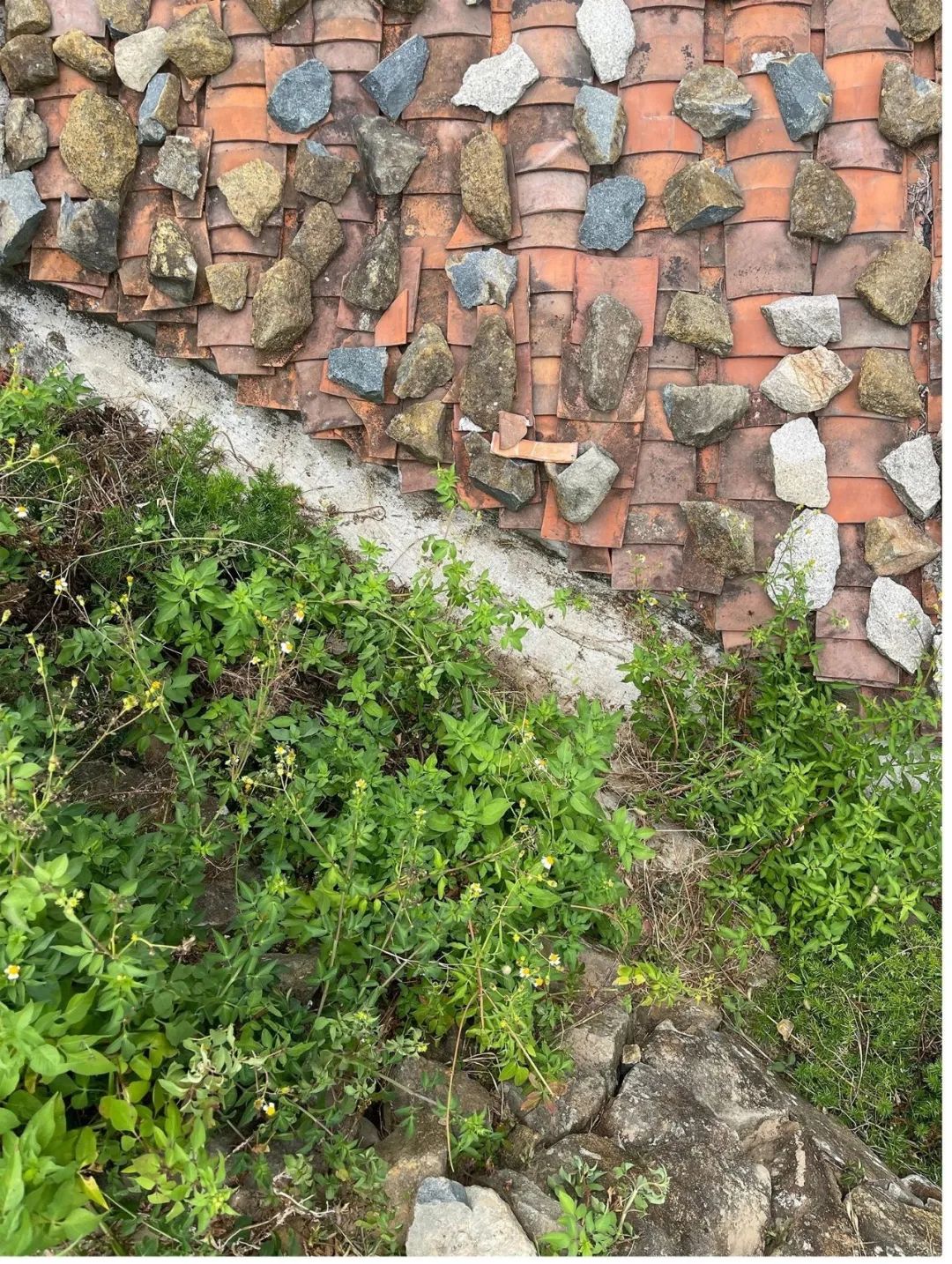 平潭石梯民宿,平潭岛长江澳石间民宿