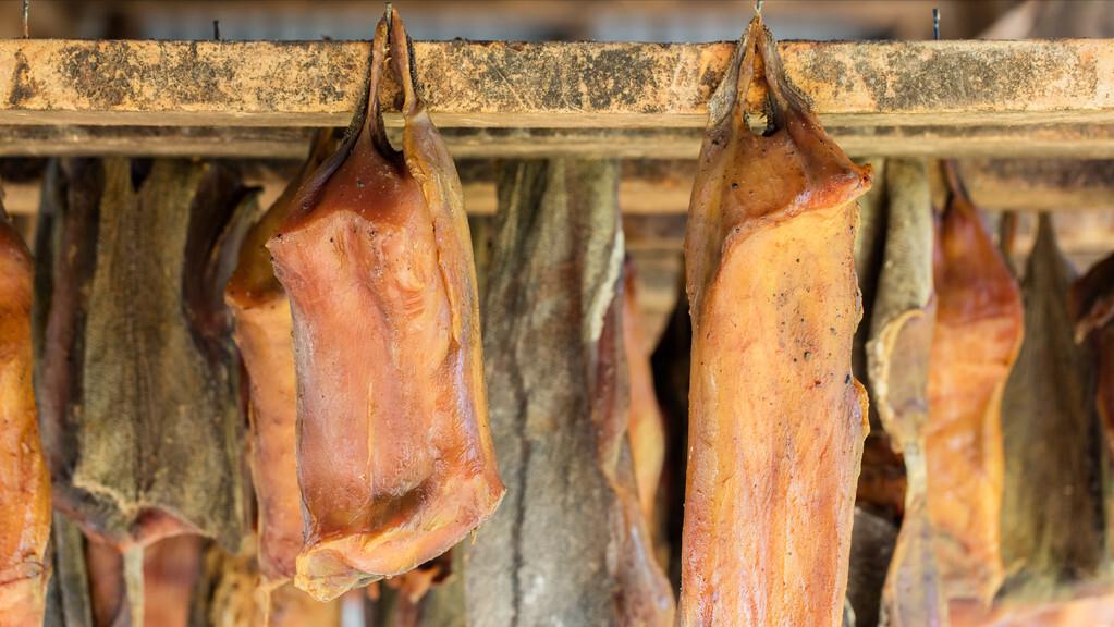 为什么鲨鱼只要鱼翅不要鱼肉呢,鲨鱼的鱼翅是什么味