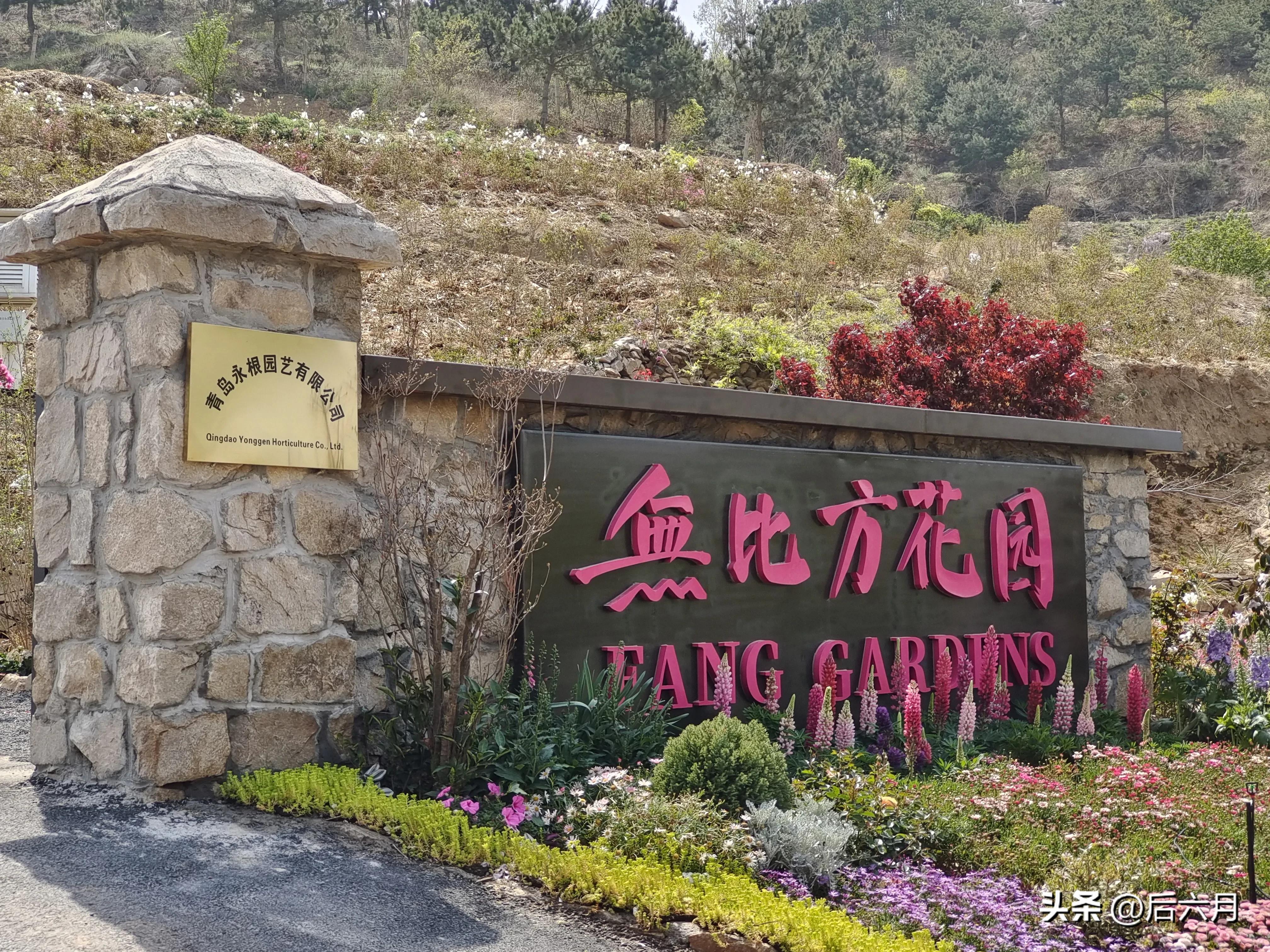 途游西海岸l无比方花园，杨家山里新添网红打卡地