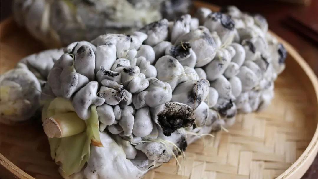 长在玉米上的毒瘤,长在玉米上的毒瘤值钱么