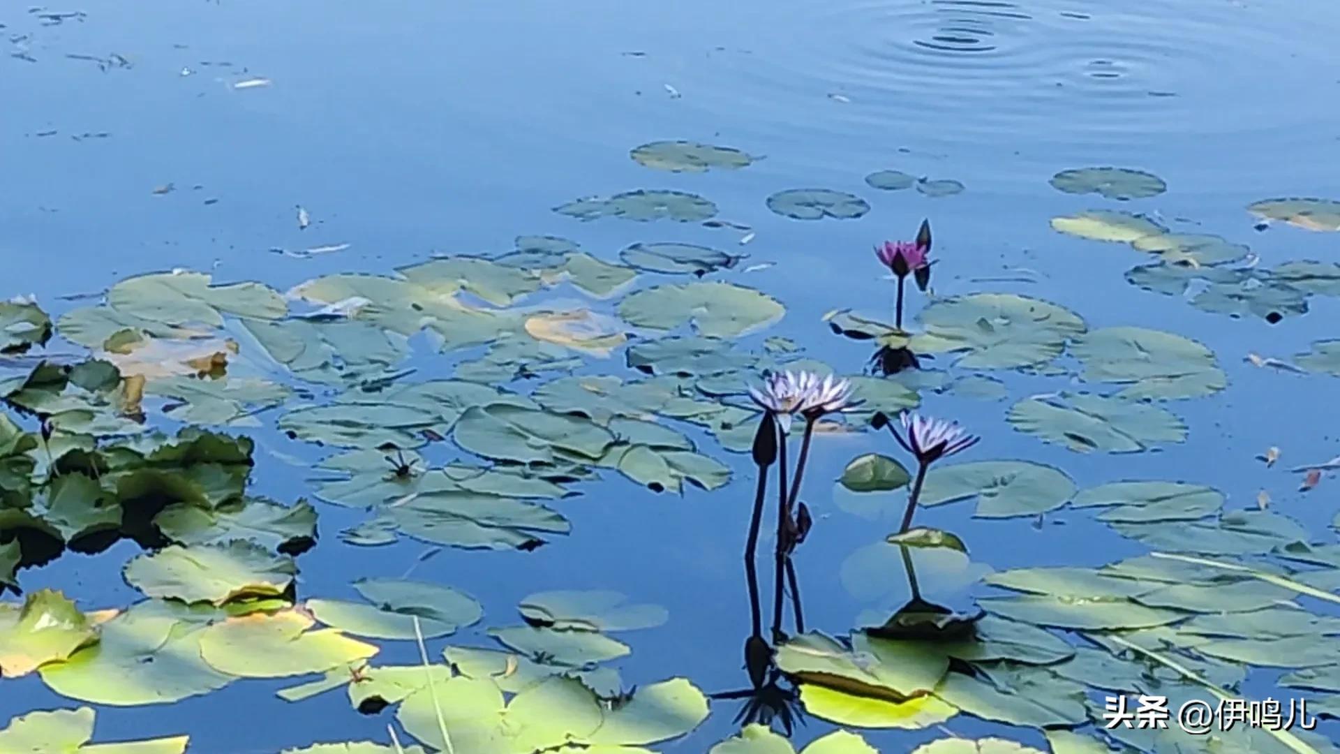 跑步时右侧肋骨下隐痛,跑步左右肋骨附近疼痛