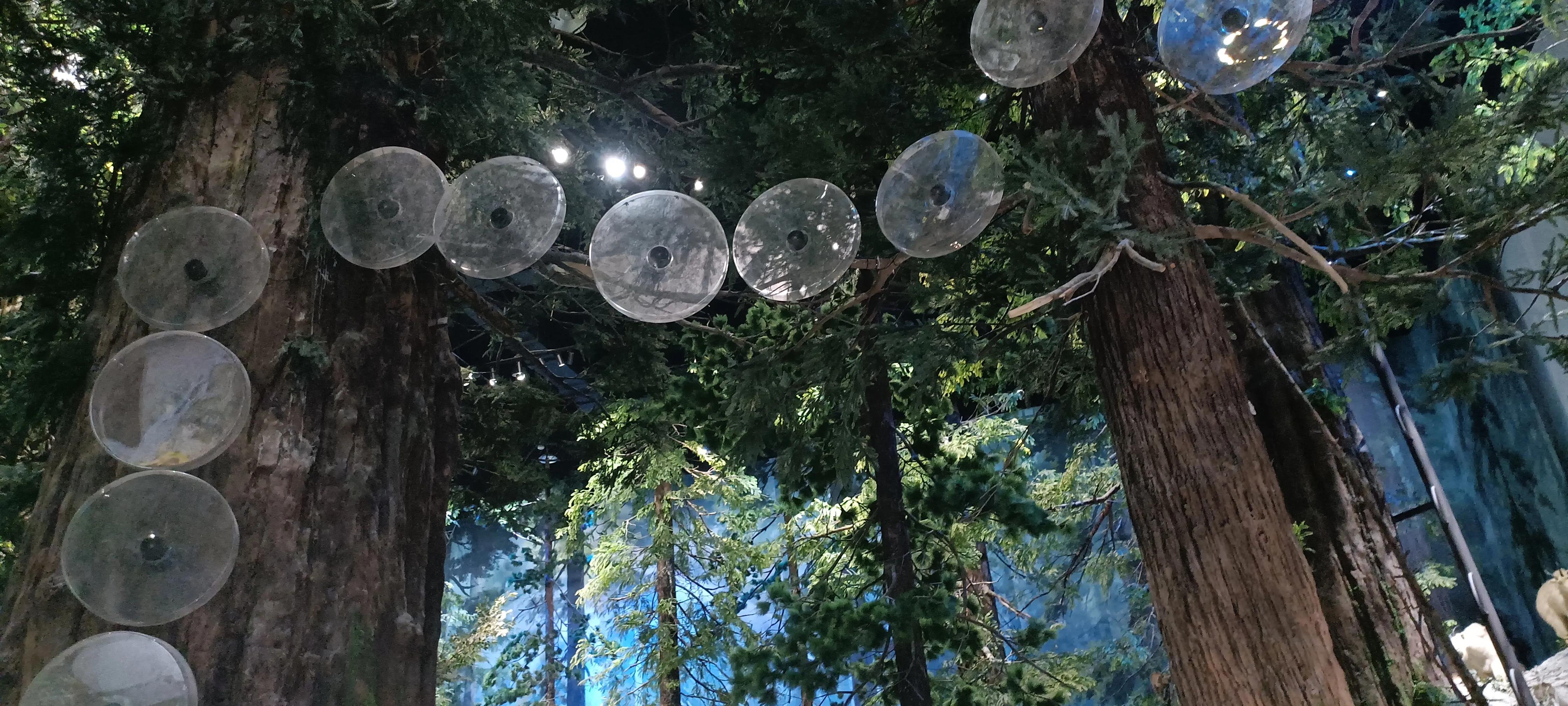 河南省科技馆新馆中标公示,河南省科技馆新馆预约门票