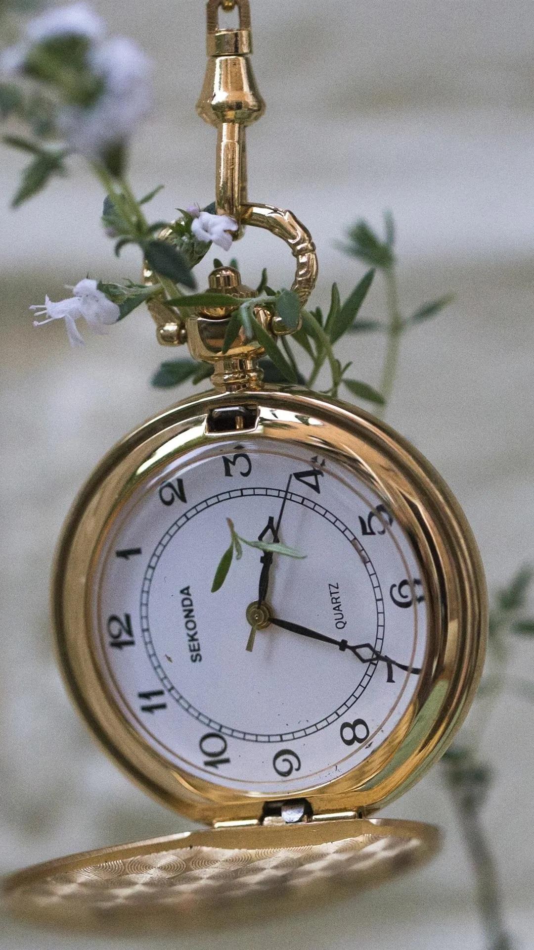 唯美景深壁纸,手机动态钟表壁纸