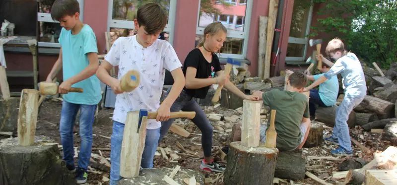 有关对华德福评价的视频,对华德福的评价