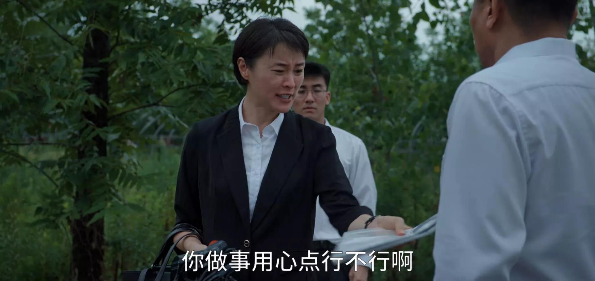 县委大院里的李保平结局,县委大院镇党委书记李保平