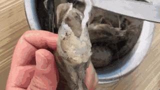 大虾有寄生虫还能吃吗,大虾有寄生虫