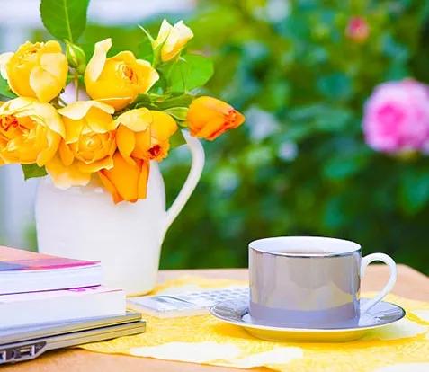 爱从不缺席每一场酸甜苦辣完整版,爱从不缺席什么意思