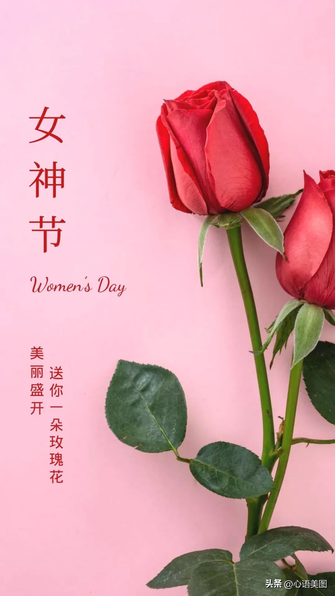 三八妇女节发朋友圈带图片文案,三八妇女节祝福语图片高清图