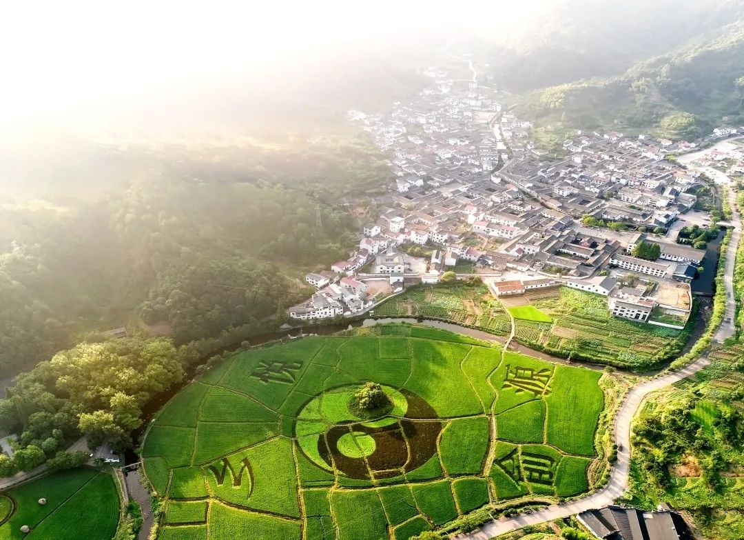 近乡情怯，归来仍是少年！