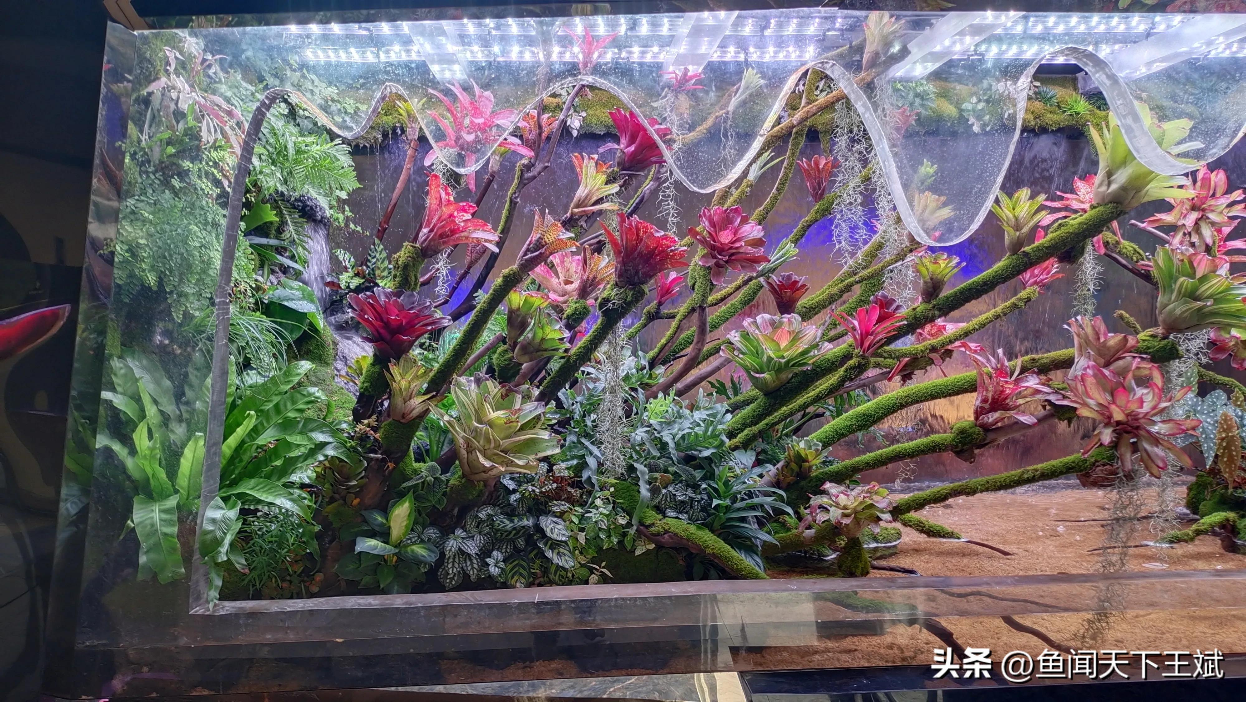 杨凌创业园区,杨凌示范区创业