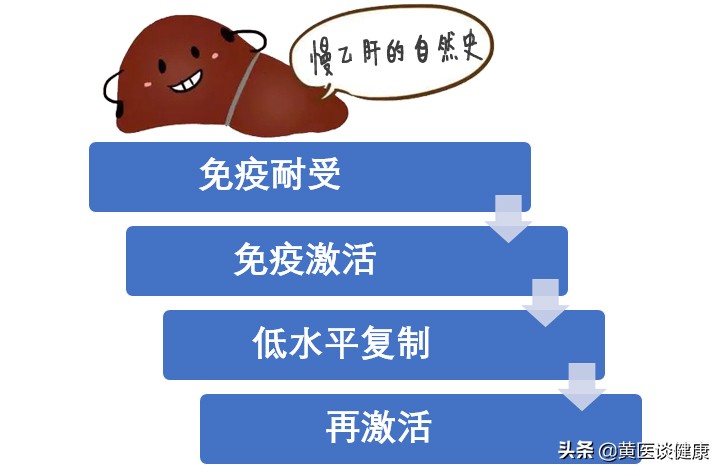 乙肝大三阳10多年,乙肝表面抗体升高至28说明什么