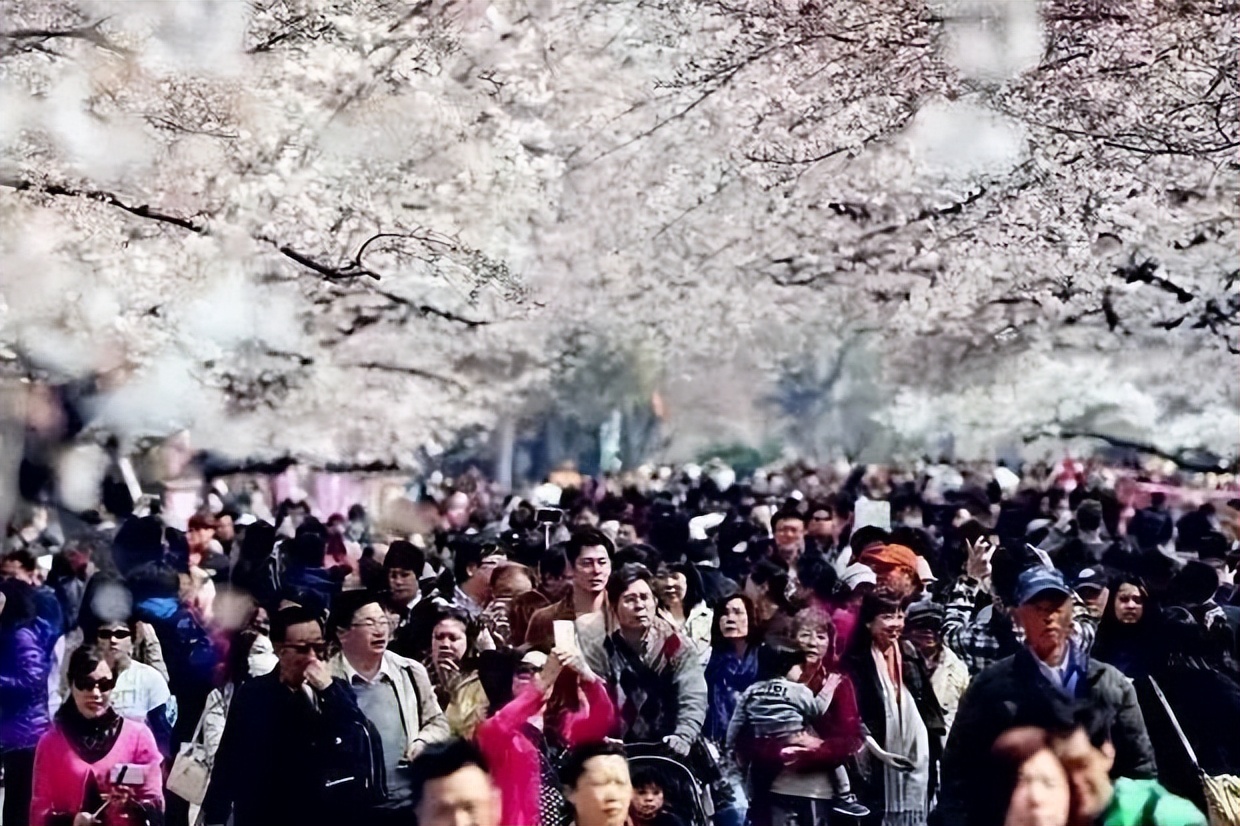 春节去日韩旅游的人多吗,今年春节去韩国旅游的吗