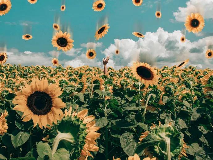 朋友圈背景图片男生简约干净,朋友圈背景图高级感干净