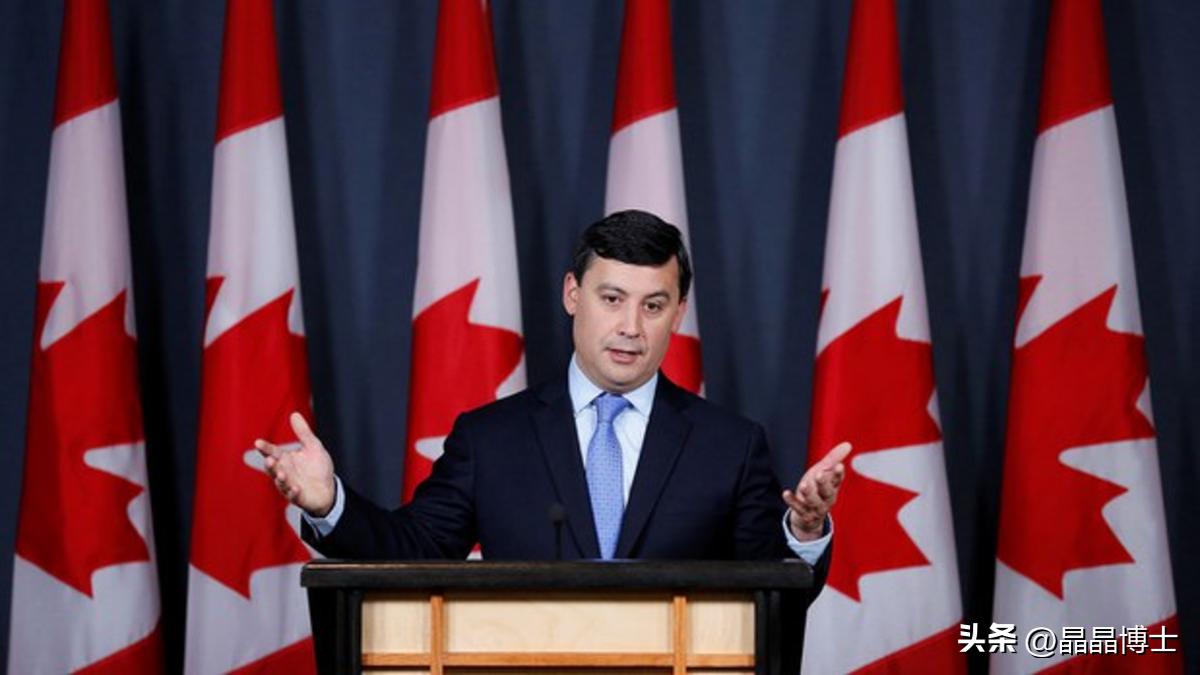 加拿大*华反**比美国狠，中国有耐心，中德外长再交锋，普京上历史课