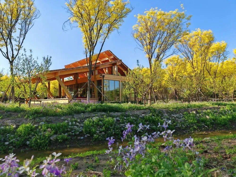 南苑森林湿地公园预约,南苑森林湿地公园抖音团购