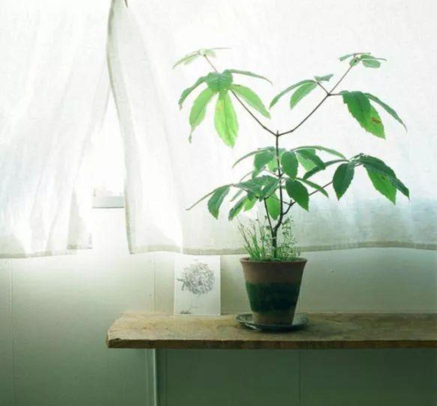 感悟人生的经典人生哲理短句,人生哲理的句子经典语录人生感悟