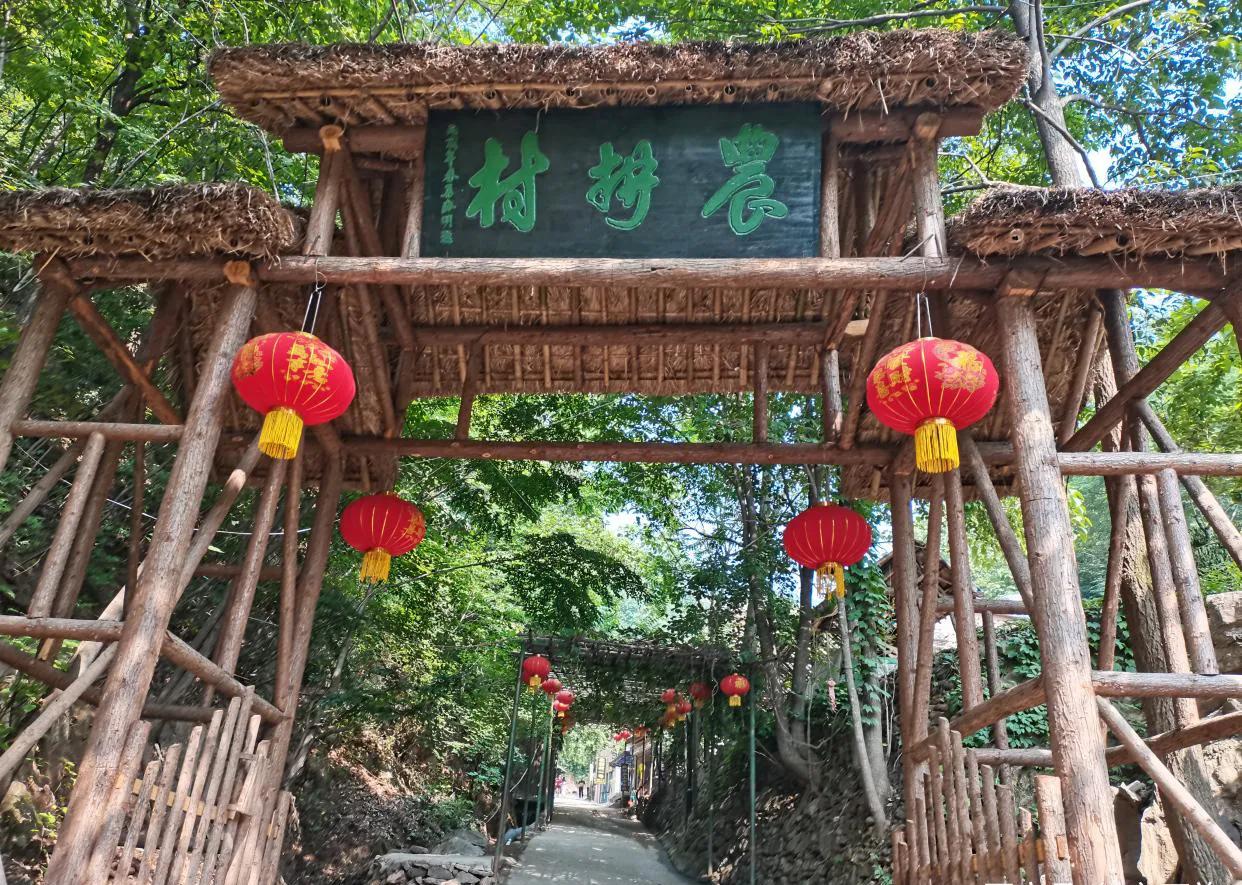 重渡沟音乐完整版,重渡沟菩提树