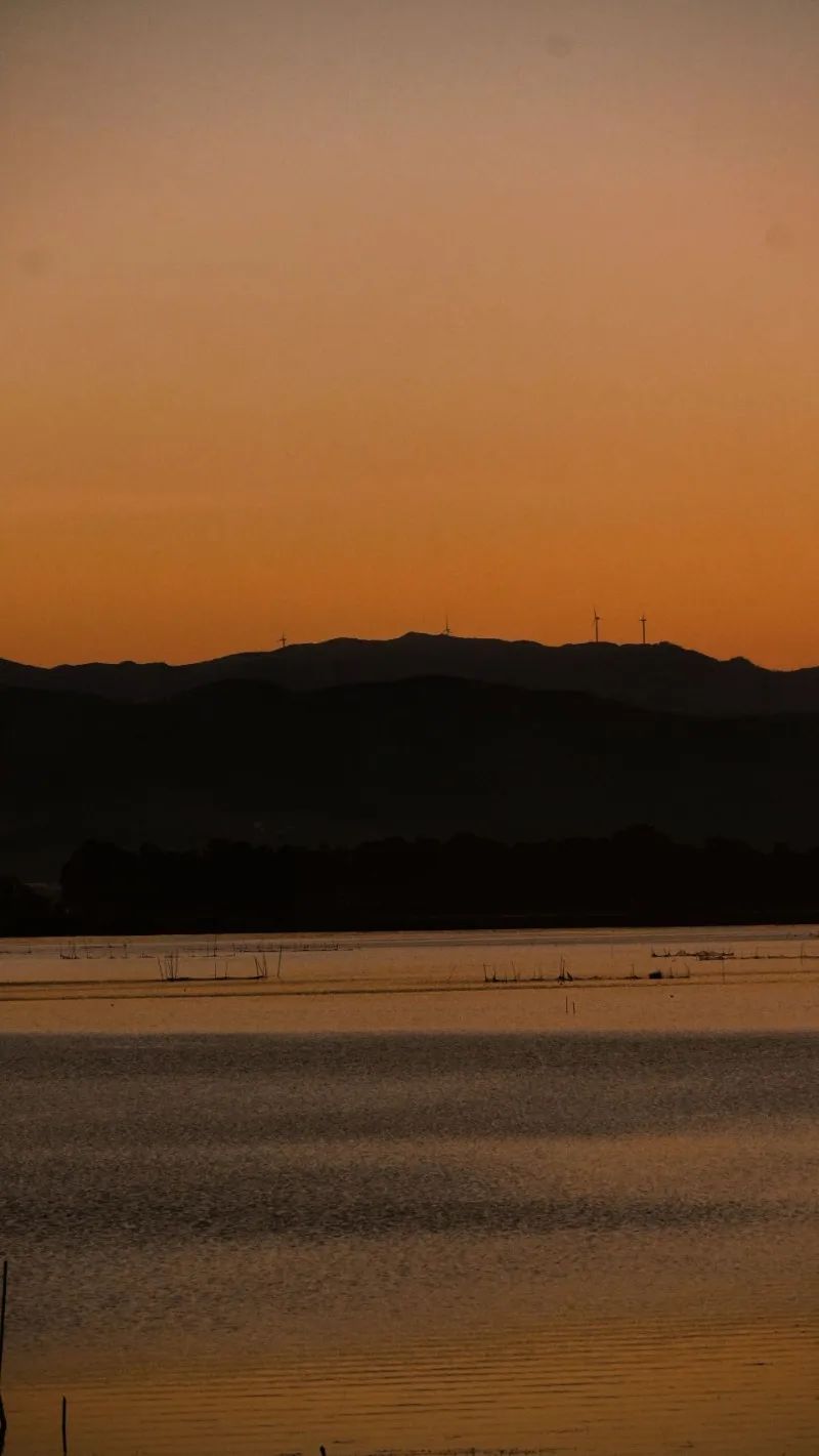 有一种快乐叫周末双休,有一种快乐叫悠闲