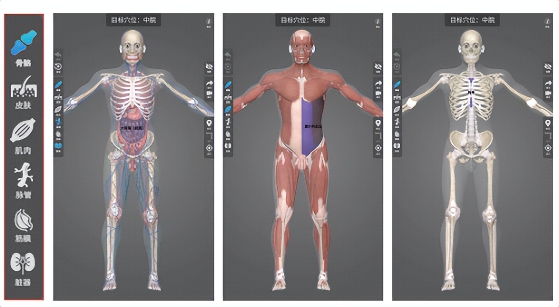 中医针灸vr教学系统,中医针灸互动学习系统