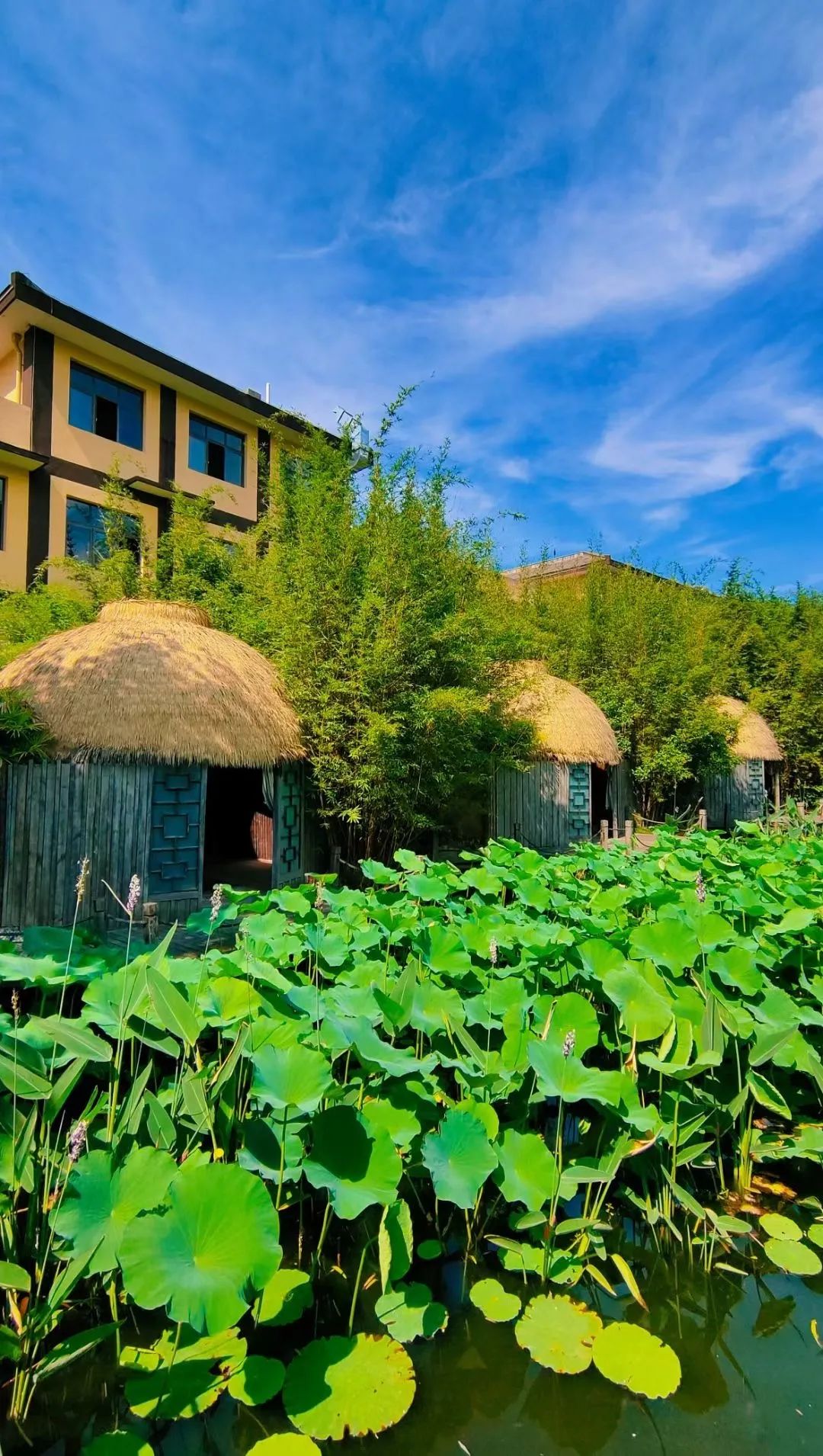 倒春寒真的来了注意保暖,广元天赐温泉冬天旅游攻略