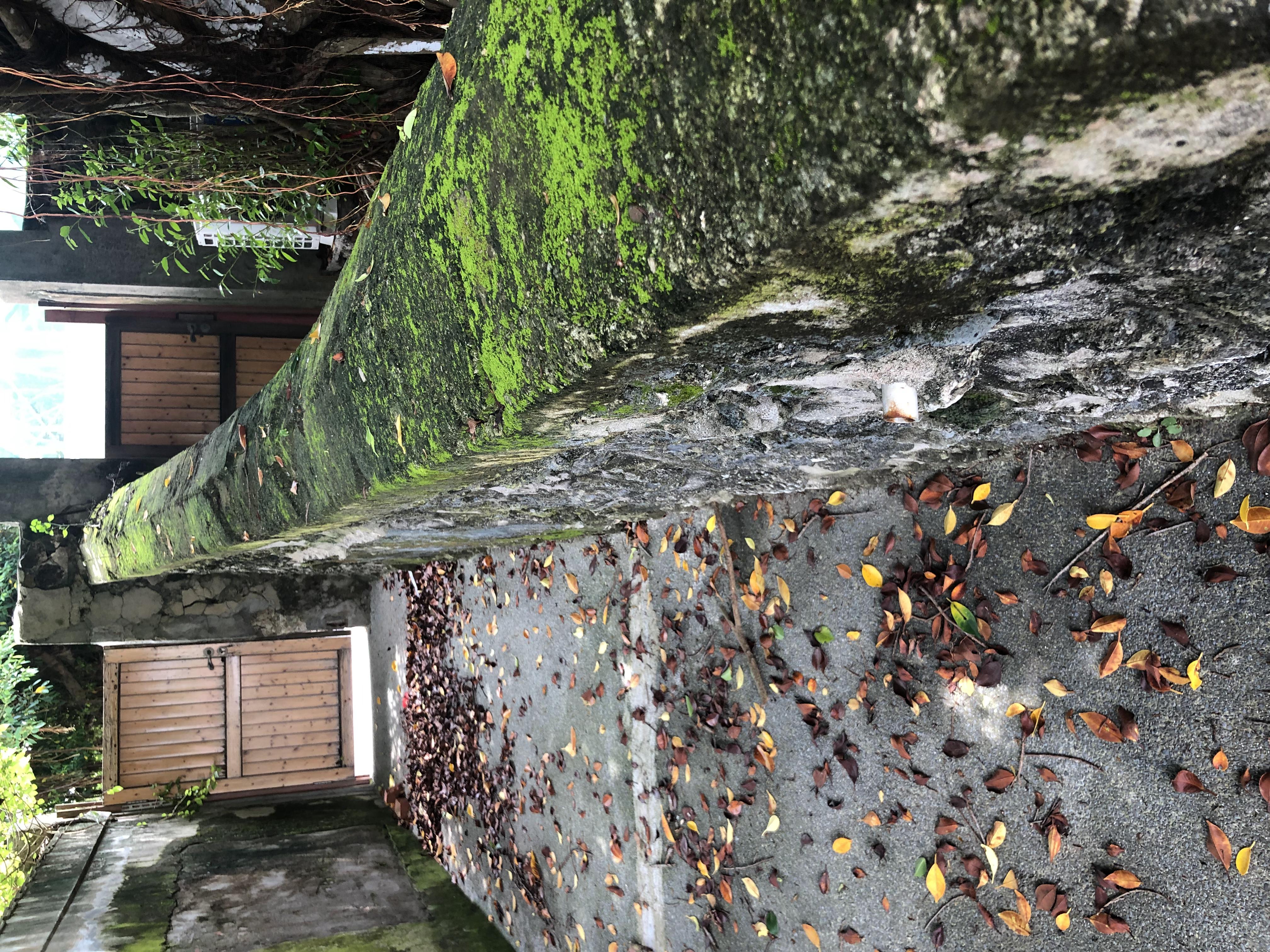 台湾8天7夜环岛行散记,台湾15天自由行攻略