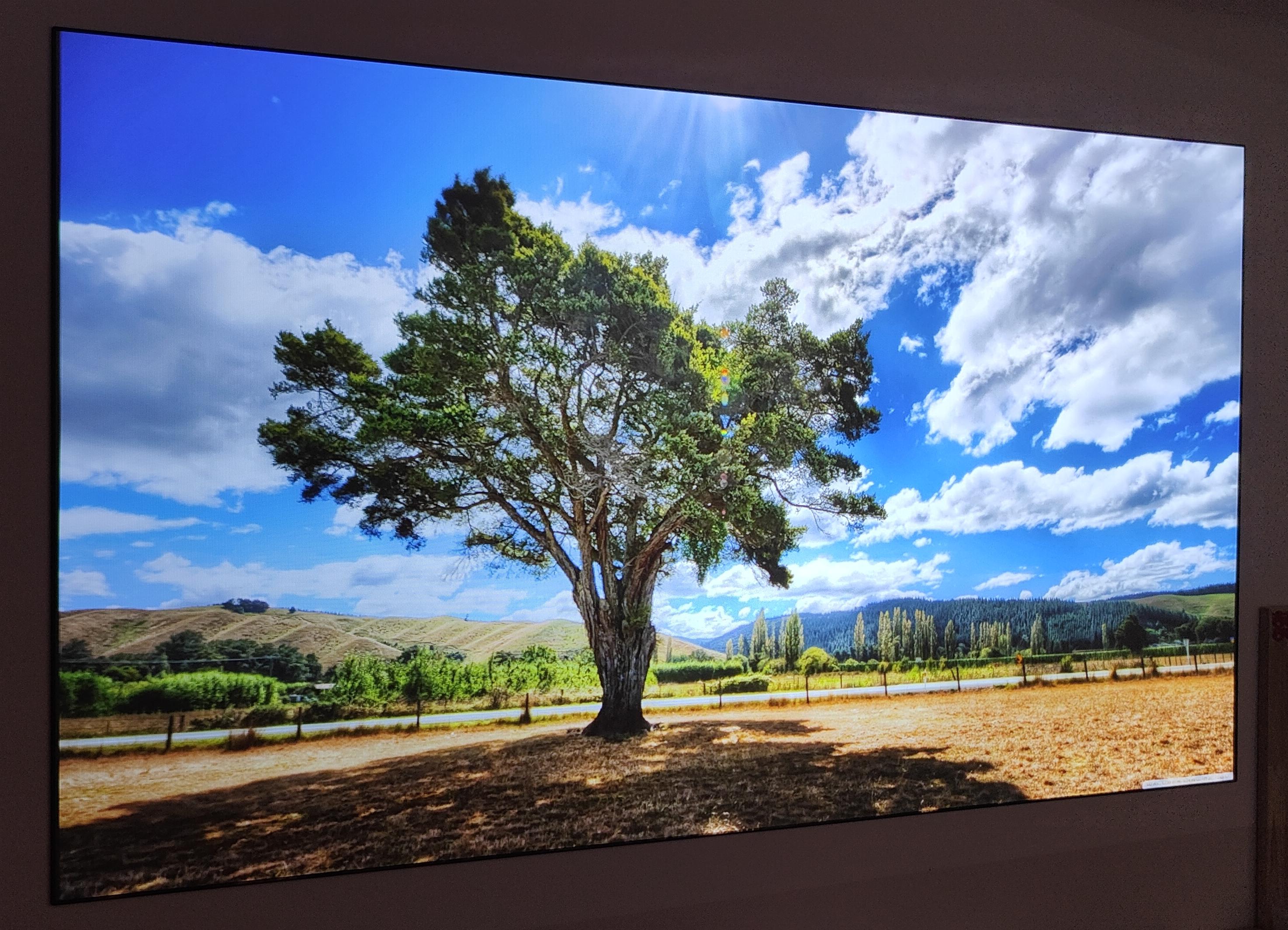 投影机显示不清晰怎么办,菲斯特s1画卷光学屏为什么那么贵