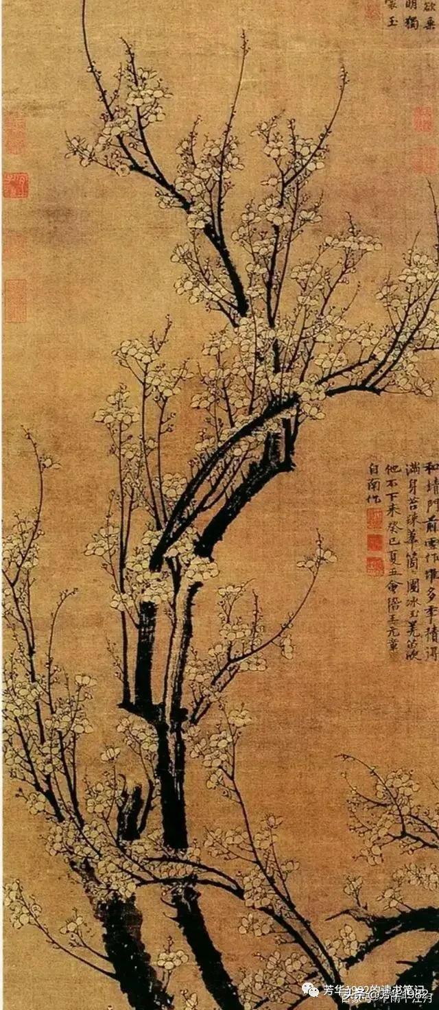 梅花图简介,历代名家梅花图