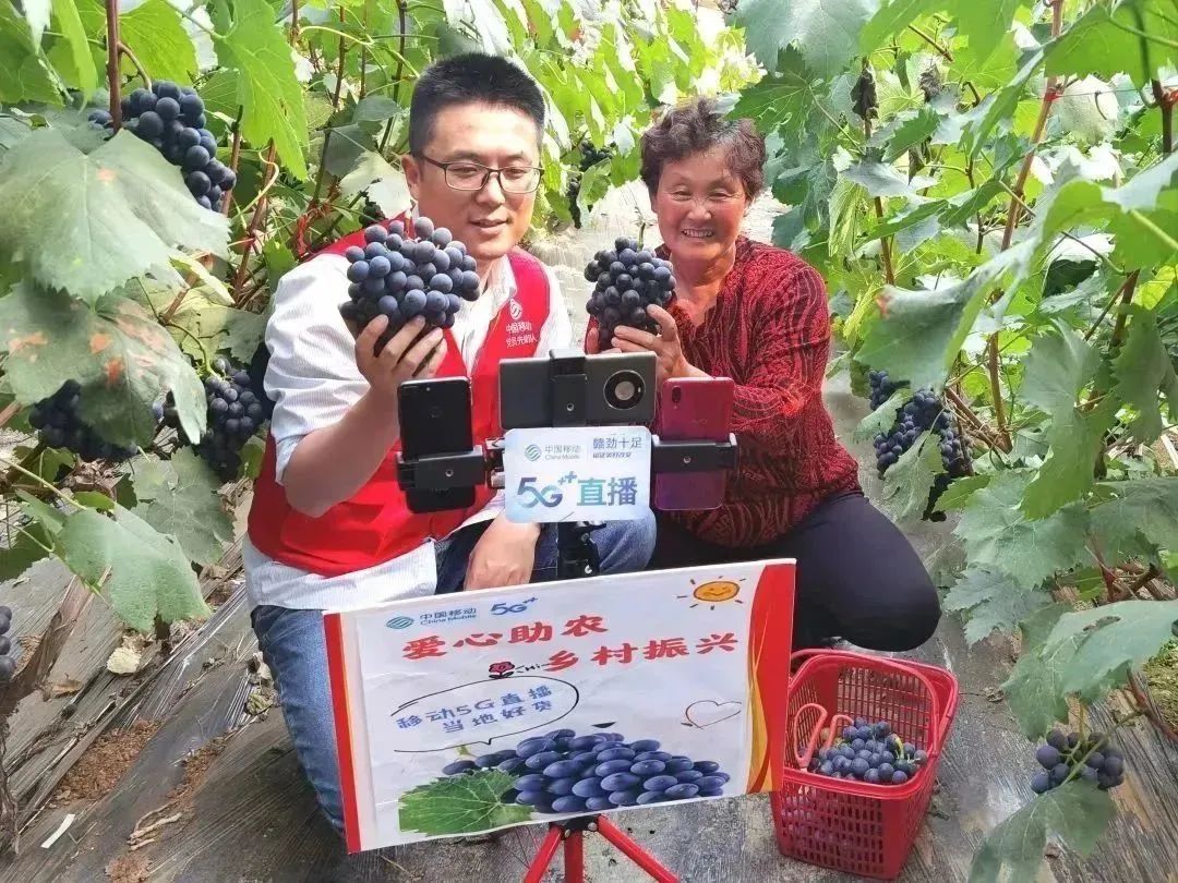 悬念揭晓在即,悬念揭晓视频