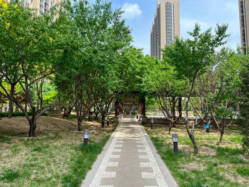 谁是影像机皇,谁才是手机机皇