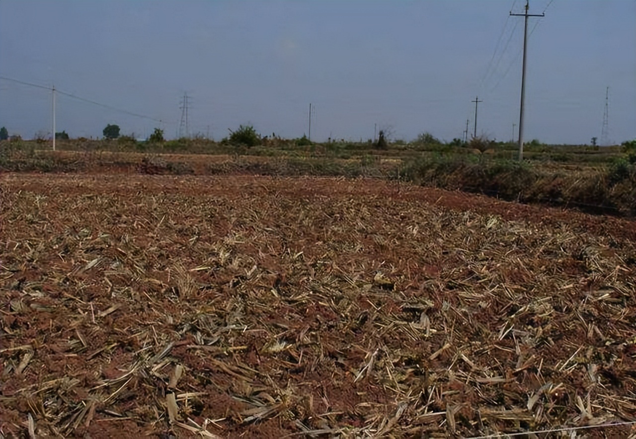 山东66岁老人自办活人出殡,山东省一位66岁老人办活人葬礼