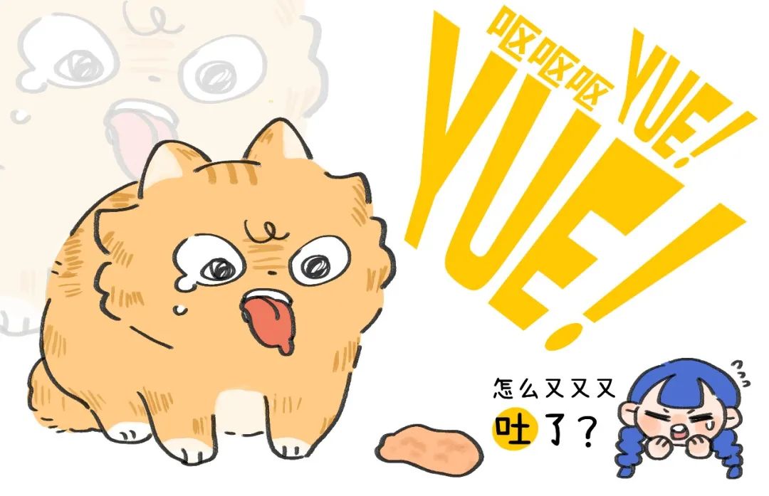 养猫的烦恼家里面好多猫毛怎么办,养猫烦恼