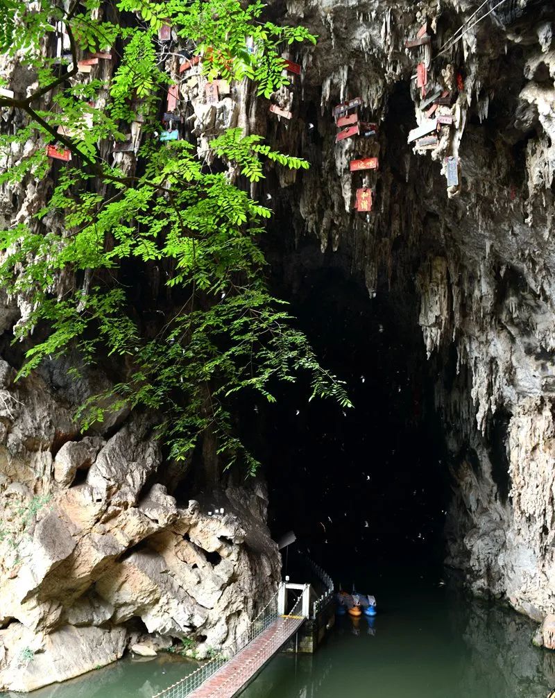 建水燕子洞免门票,建水燕子洞景区团购