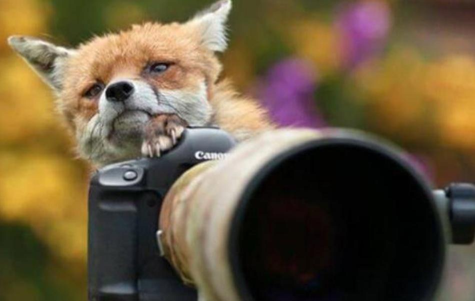 愚人节“愚”你同乐,装修笑话集锦