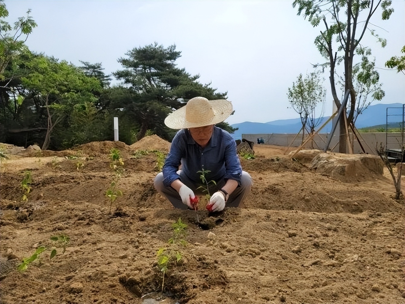 文在寅田园生活,文在寅是住在农村吗