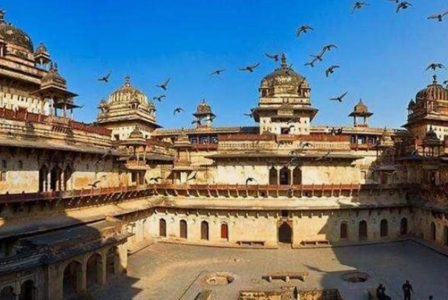 印度对孔雀王朝的贡献,印度为什么叫孔雀王朝