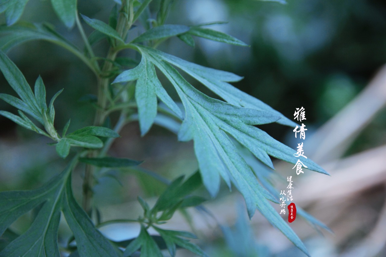 端午节必备神草,端午节最有效的草是什么草