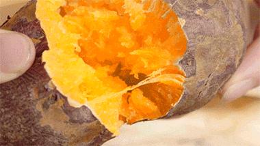 房子住久了才发现，还是这4种厨房小电器“实在”！给大家晒晒