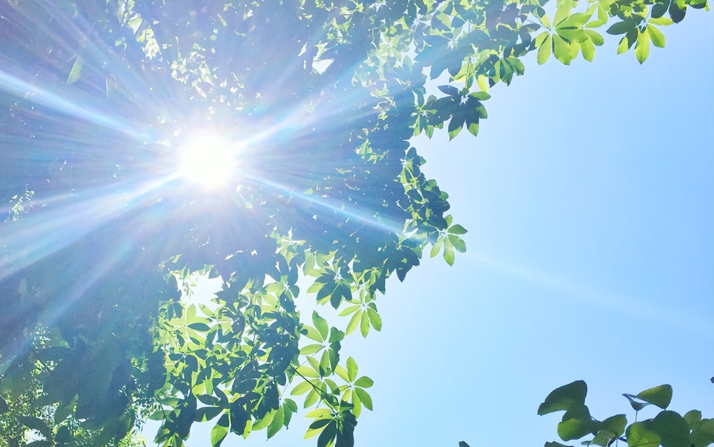 不想被晒黑的正确晒太阳方法,防晒不容易被晒黑的方法