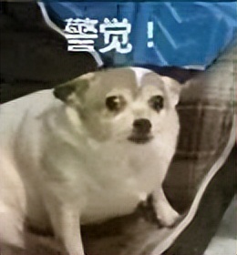 八小时以上推文一口气看完,推文一口气看完