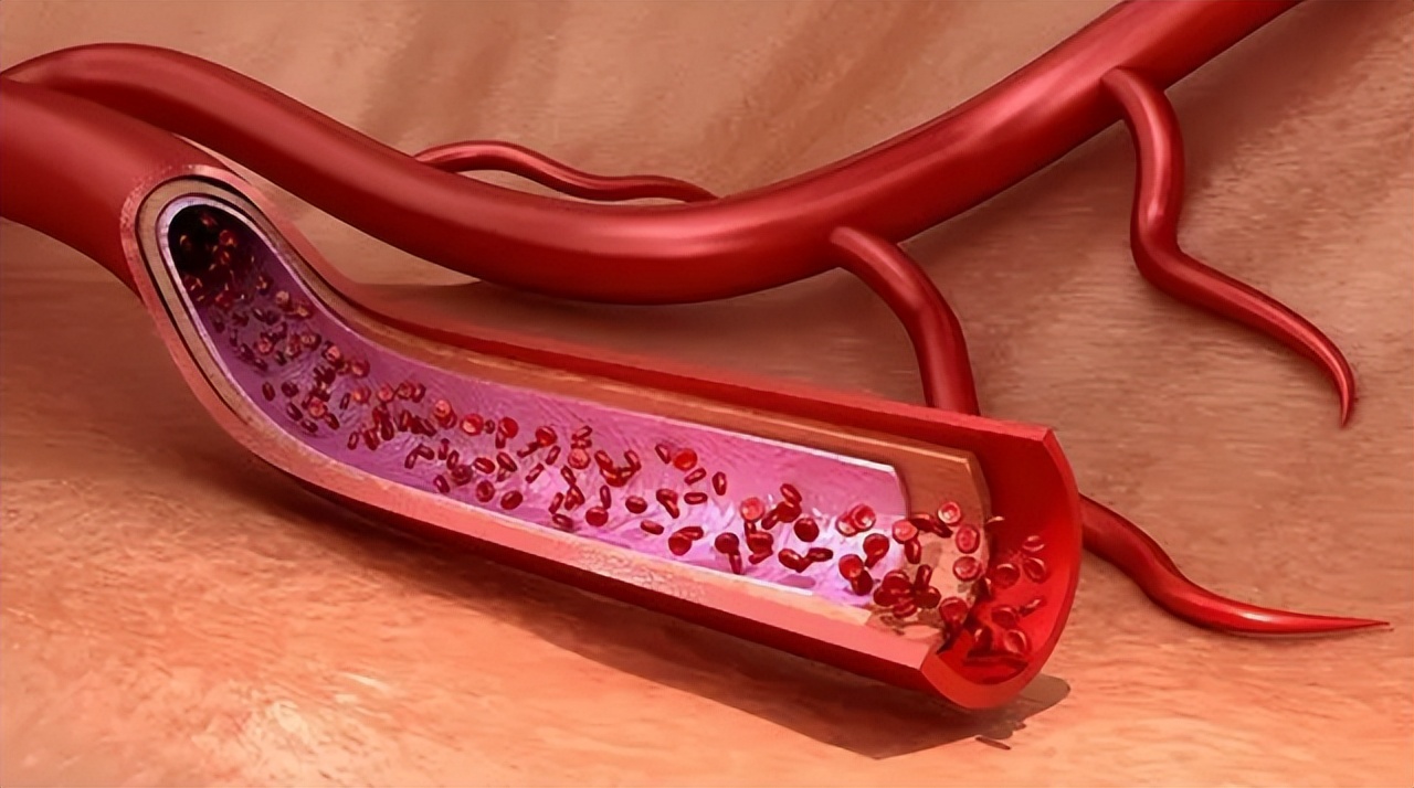 女人过了多少年纪雌激素退化,女人过了40雌激素多会怎样