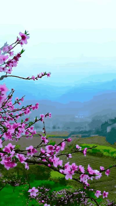 2023年03月03日星期五农历：癸卯年【兔年】二月十二八九第9天