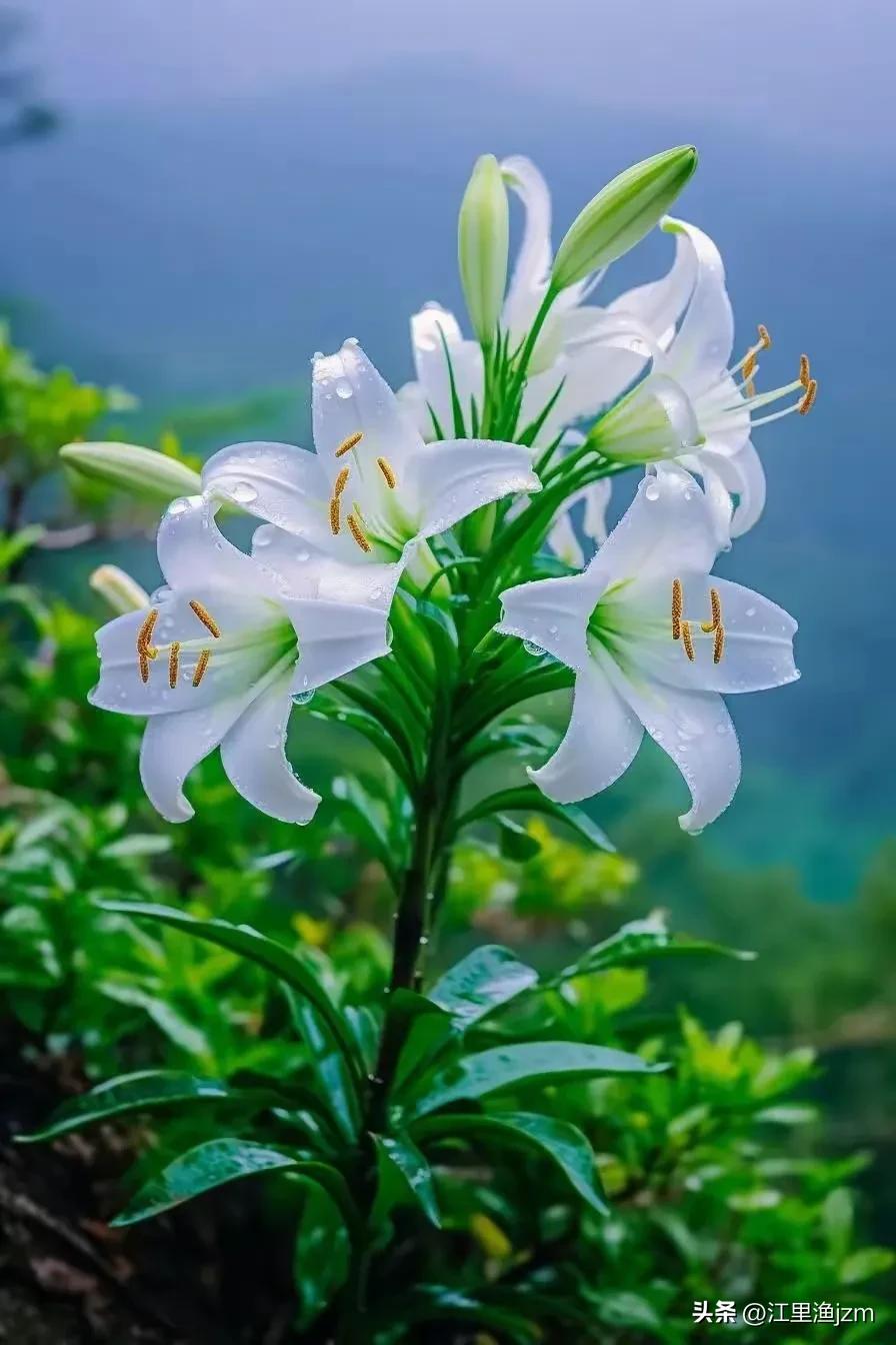 难忘的那些事作文,难忘那些年