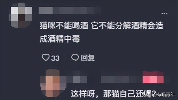 “谁再给猫喝酒，我扇烂ta的嘴巴！”