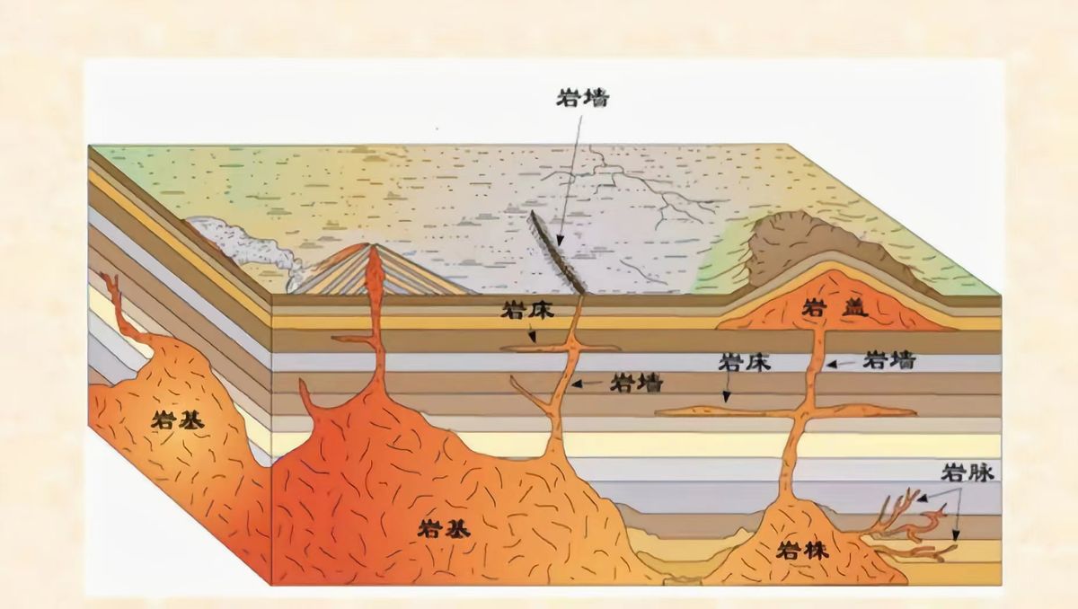 唯一一个在餐厅发现的恐龙足迹,四川餐厅发现恐龙足迹